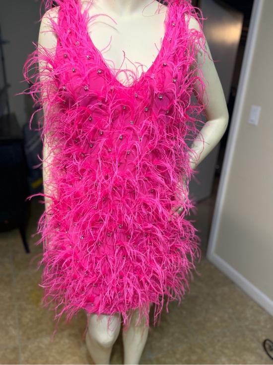 AKIRA Dresses & Skirts - AKIRA Hot Pink Feathered Beaded Mini Dress